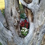 Monticelli Bed & Breakfast Gubbio