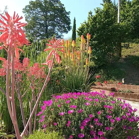 Bed & Breakfast Monticelli