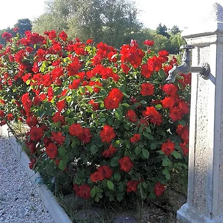Monticelli 3*