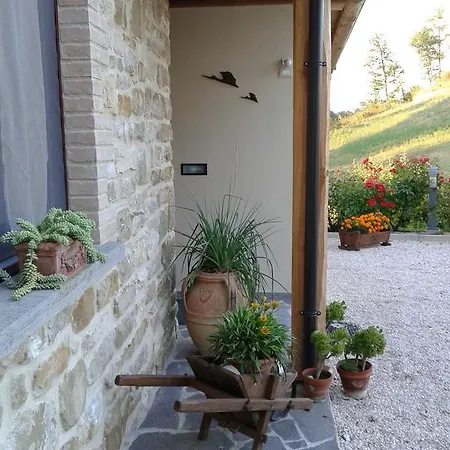 Monticelli 3*