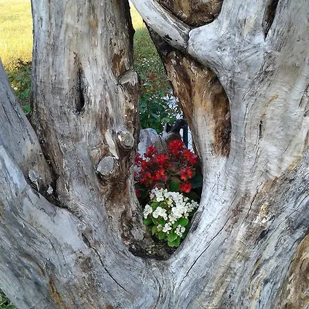 Monticelli Bed & Breakfast Gubbio