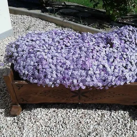 Monticelli Panzió 3*