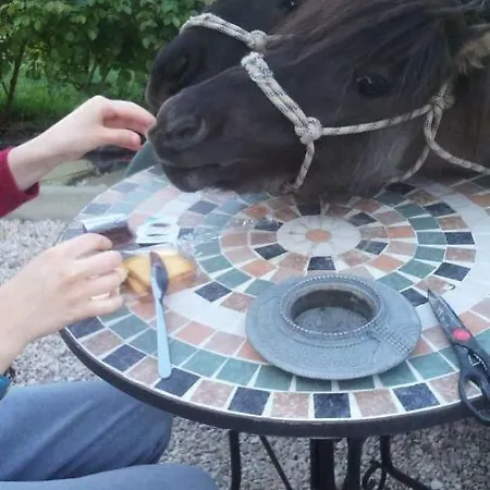 Monticelli Panzió 3*